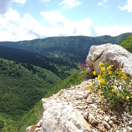 Montenegrinabih, Petrovici, Istocno Sarajewo Zewnętrze zdjęcie