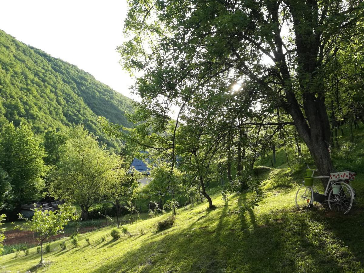 Montenegrinabih, Petrovici, Istocno Sarajewo Zewnętrze zdjęcie