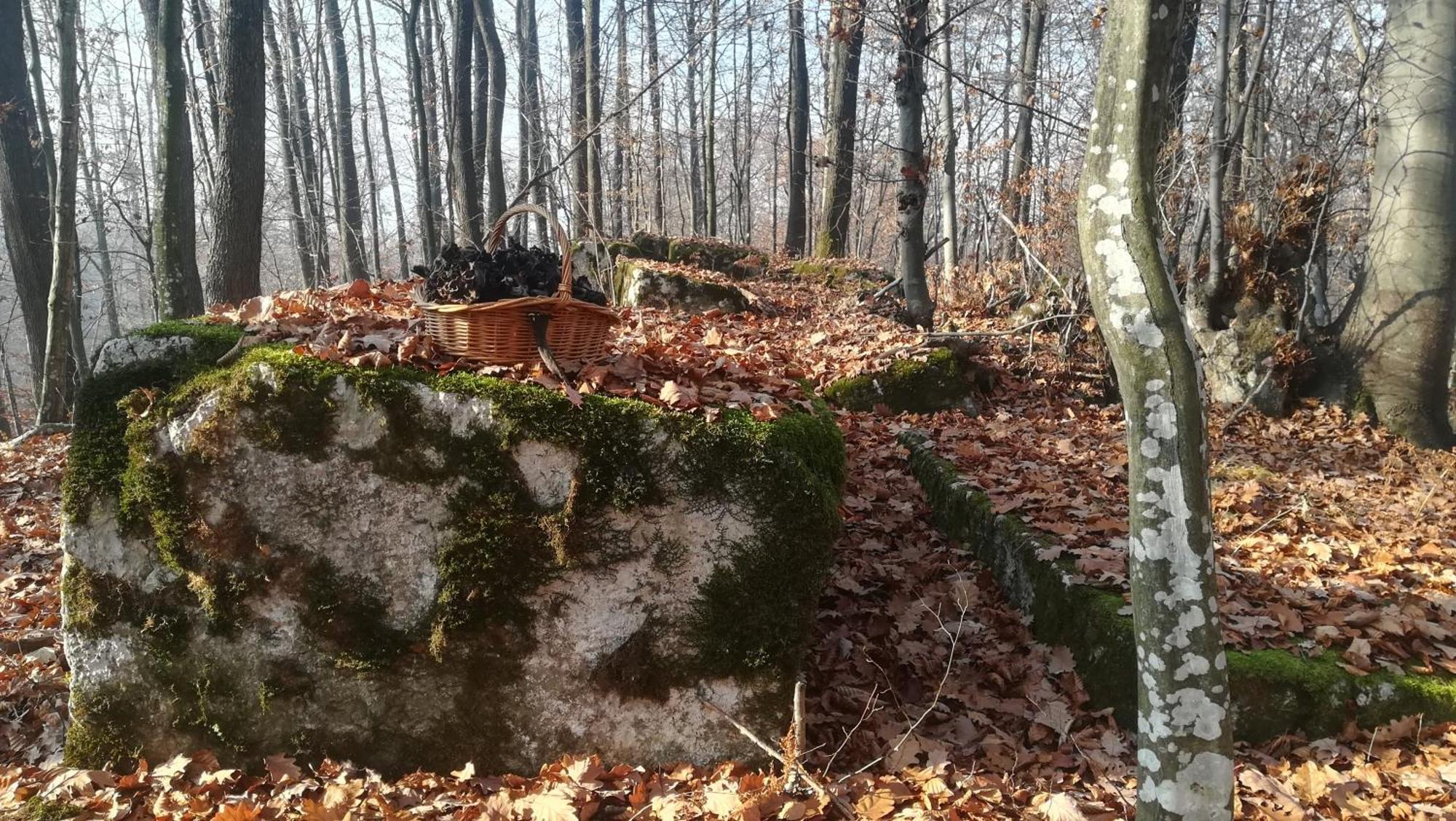 Montenegrinabih, Petrovici, Istocno Sarajewo Zewnętrze zdjęcie